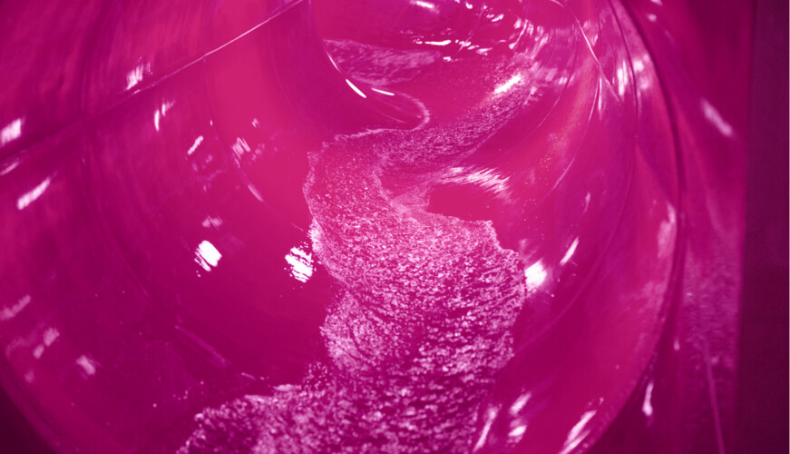 Pinky